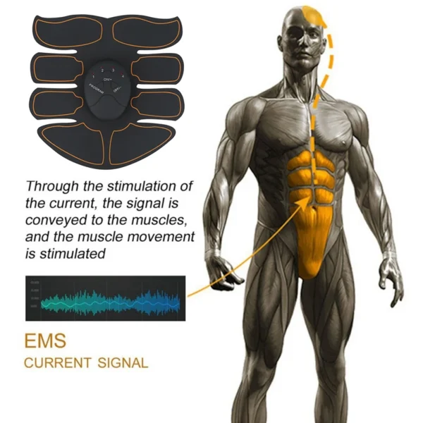 Wireless EMS Fitness Massager for Abs, Hips & Thighs - Image 2